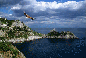 aigle sur paysage marin